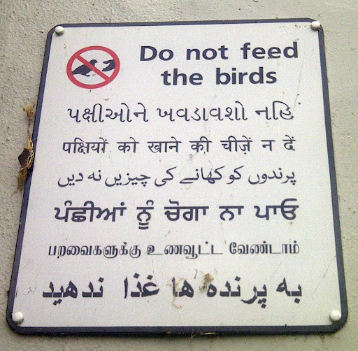 Do not feed the birds