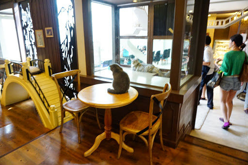 Purr Cat Cafe Club