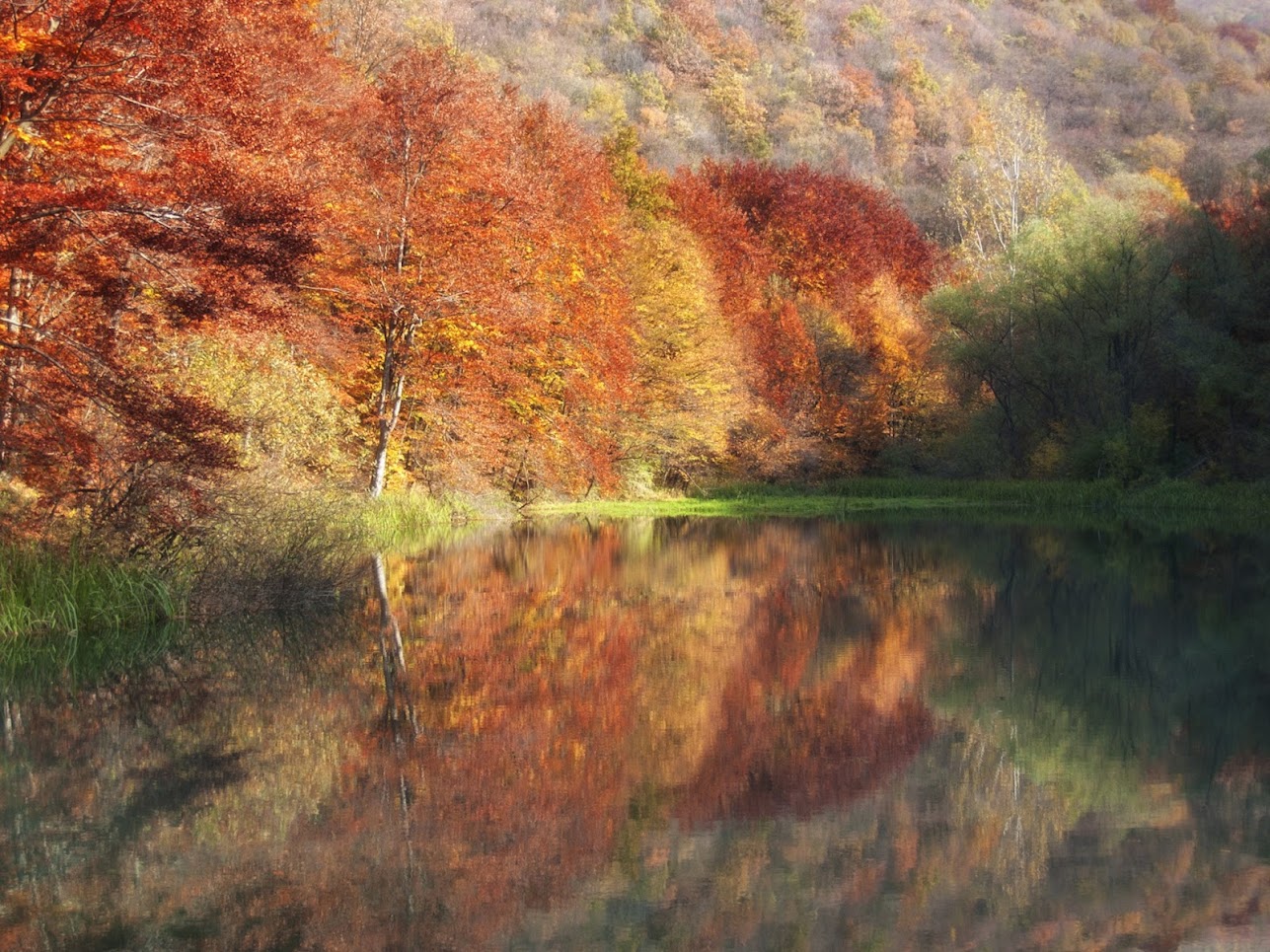 Photographer of the Month: Mihailo Radičević