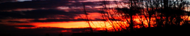 Cover photo