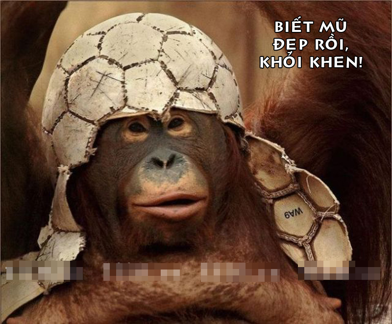 Ảnh chế họ hàng nhà khỉ thật bá đạo Ảnh chế họ hàng nhà khỉ thật bá đạo