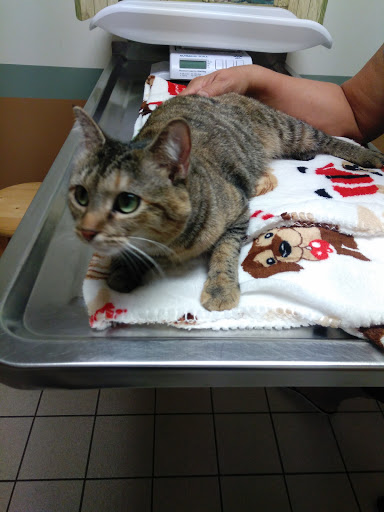 Animal Hospital «Feeder Creek Veterinary Services», reviews and photos