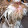 pepe Perez pepe Perez's profile photo