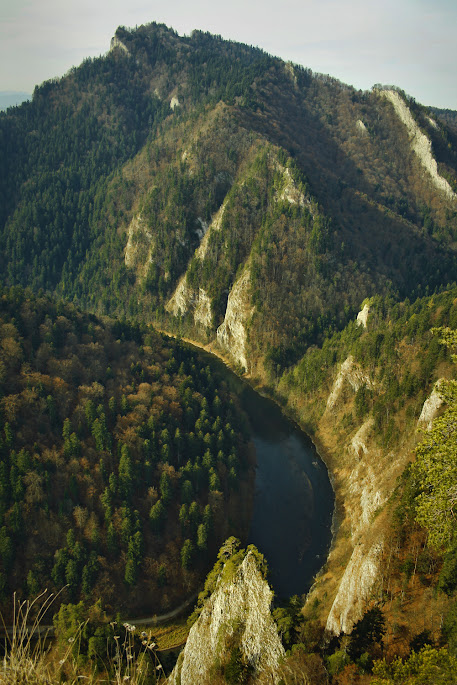 Dunajec z Sokolicy Dunajec z Sokolicy