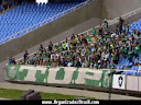 TORCIDA UNIFORMIZADA DO PALMEIRAS