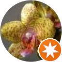Milena Orchid