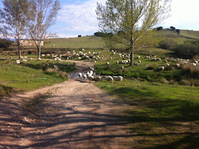Ruta en bici de Madrid a Colmenar Viejo, mayo 2012 Ruta en bici de Madrid a Colmenar Viejo, mayo 2012