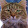 Angi MacAllister Angi MacAllister's profile photo