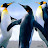 Michael Harwood avatar image
