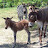 R Burwell avatar image