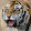 Dino Canessa Dino Canessa's profile photo