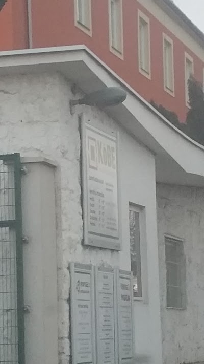 insurance-agency