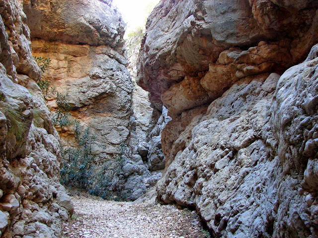 Senderismo - Cueva de la Araña - Gola de Lucino