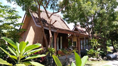 Photos of PRO DIVE Bali
