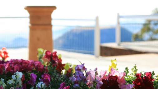Cover photo