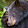 Tony Lyon Tony Lyon's profile photo
