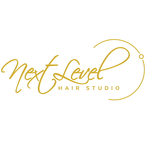 The Next Level Salon logo