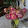 Adelina Moratalla Adelina Moratalla's profile photo