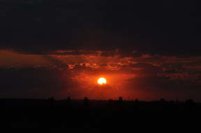 Picasa