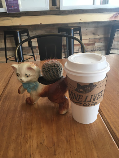 Coffee Shop «Nine Lives Cat Café», reviews and photos, 1315 Shelby St #1, Indianapolis, IN 46203, USA