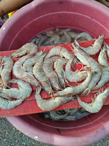 Assolna Fish Market, MDR45, Santwaddo, Assolna, Goa 403701, India, Fishery, state GA