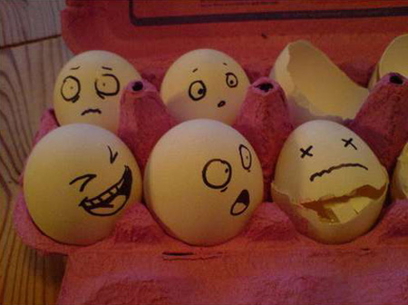 Hình ảnh vui về quả trứng