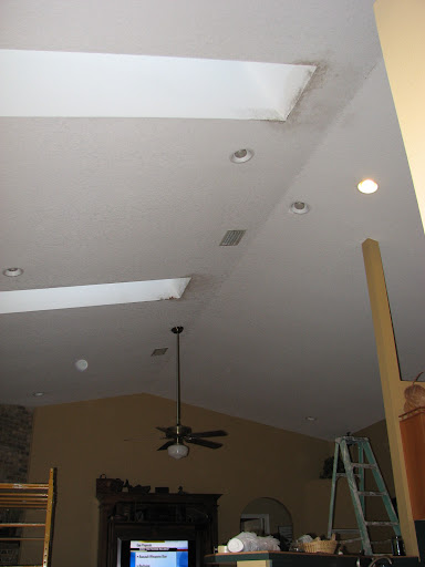 Vaulted Ceiling And Skylights