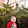 Walter Pavlik II Walter Pavlik II's profile photo