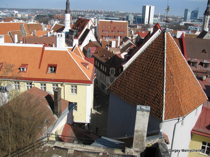 Четыре часа по улицам старого Таллина… (Фото)