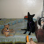 Scrapbook photo 2