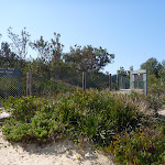 Track at eastern end of Congwong Beach near La Perouse (308678)