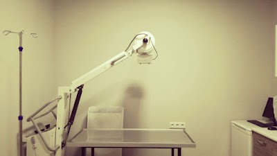 Photos of Patika Veteriner Kliniği