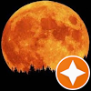Moon Rosy Moon Rosy