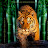 Bert Friedman avatar image
