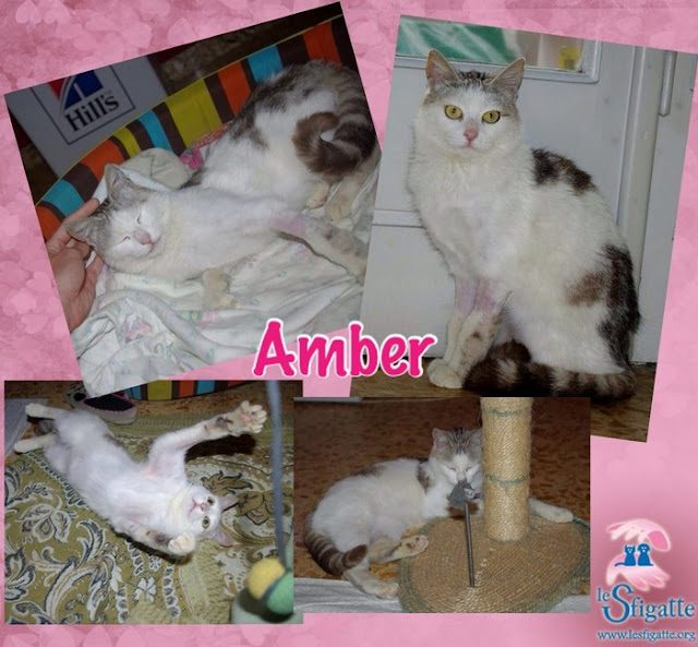 Amber