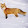 Fox Clark Fox Clark's profile photo