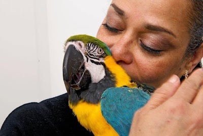veterinary-care