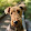 Esteban Díaz Esteban Díaz's profile photo