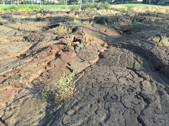 Waikoloa Petroglyph Reserve
