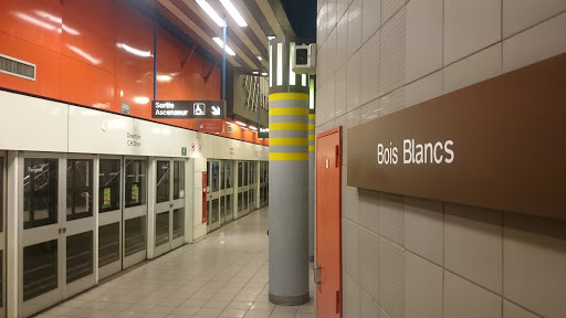 Bois Blancs
