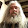 Jose Silvermad Jose Silvermad's profile photo
