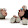 Adnan Sadzak Adnan Sadzak's profile photo