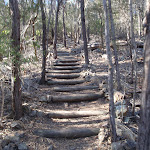 Stairs up from Kianiny Bay (102310)