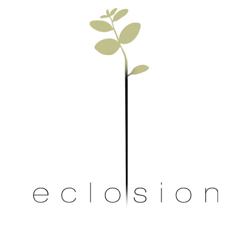 Hôtel Restaurant Eclosion logo