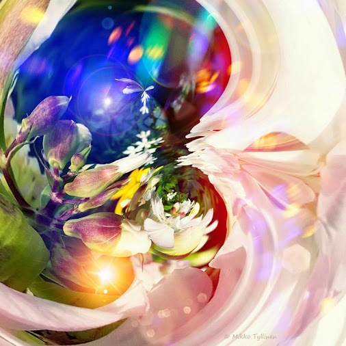 posted image