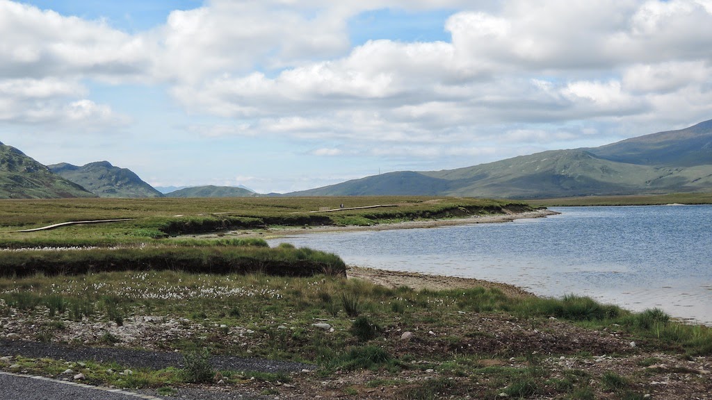 Blog Header Image