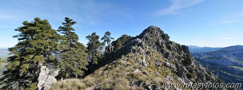 Cresteria Sierra del Pinar II