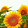 Sahar Forrester Sahar Forrester's profile photo