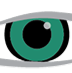 Experts on Sight logo