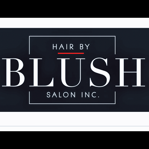 Blush Salon Inc logo
